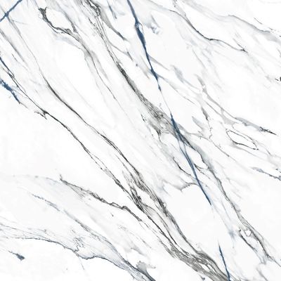 Плитка Geotiles Oikos Blue Pol 120x120