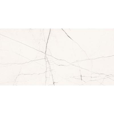 Плитка IMOLA The Room STA VP6 12 RM 120x60