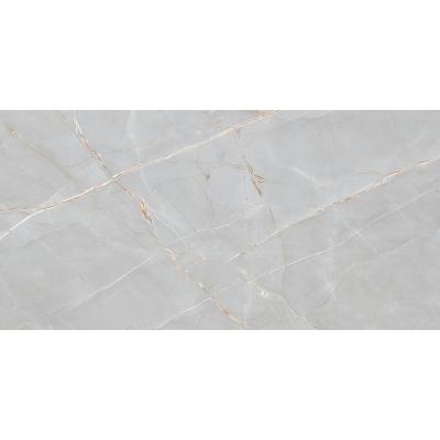 Плитка ITALICA PANDAMI SILVER полированная 60х120