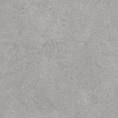 Плитка Kerama Marazzi Фондамента DL600900R