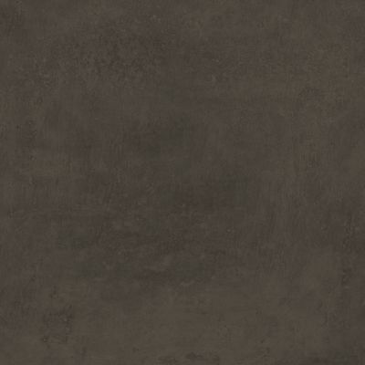 Плитка Kerama Marazzi Про Фьюче DD639800R