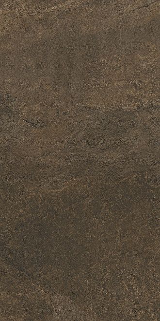 Плитка Kerama Marazzi Про Стоун DD200200R
