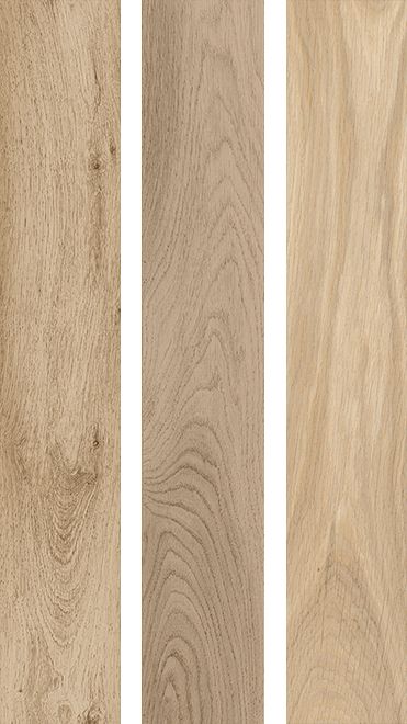 Плитка Kerama Marazzi Селект Вуд SG350600R
