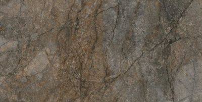 Плитка Kerama Marazzi Сильвер Рут DL502900R
