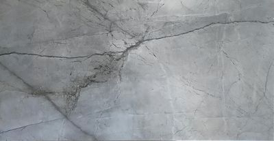 Плитка керамограніт для підлоги CASA CERAMICA SILVER ROOT 80x160