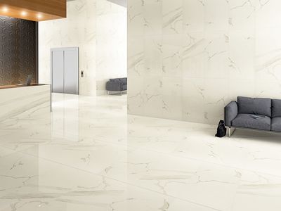 Плитка Kutahya Seramik Albatros полірована 55012900RN