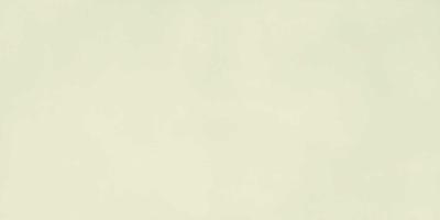 Плитка Marazzi SISTEMS OSSO RT 60x120