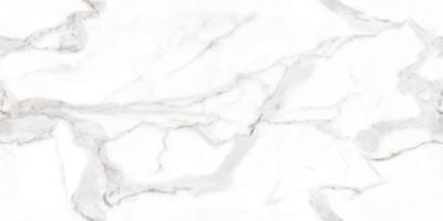Плитка MEGAGRES Optex VENATO BIANCO POLISHED 120x60