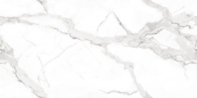 Плитка Керамогранит MEGAGRES Optex VENATO BIANCO POLISHED 120x60