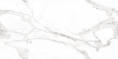 Плитка Керамогранит MEGAGRES Optex VENATO BIANCO POLISHED 120x60