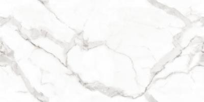 Плитка Керамогранит MEGAGRES Optex VENATO BIANCO POLISHED 120x60