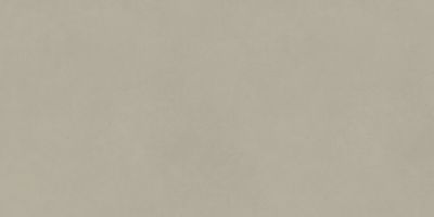 Плитка Opoczno OPTIMUM Light Grey 59,8X119,8 G1