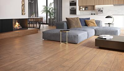 Плитка Opoczno Rustic Bronze 1 OP498-026-1 20X120