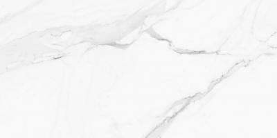 Плитка Pamesa Ceramica 60x120 Calacata White Matt