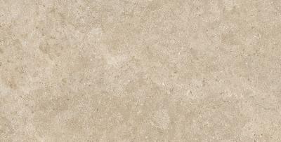 Плитка Керамограніт Pamesa Ceramica Alba Stone ALBA STONE GREIGE 120x60