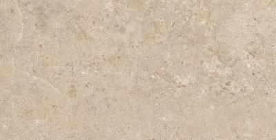 Плитка Керамограніт Pamesa Ceramica Alba Stone ALBA STONE GREIGE 120x60