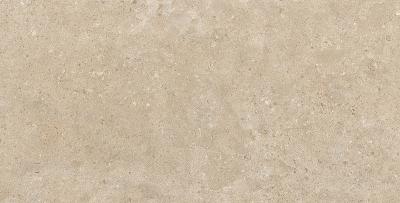 Плитка Керамограніт Pamesa Ceramica Alba Stone ALBA STONE GREIGE 120x60
