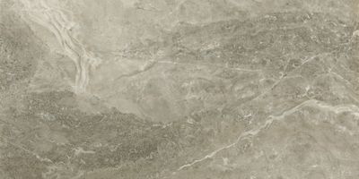 Плитка Pamesa Ceramica AREZZO TORTORA LEVIGLASS 30х60