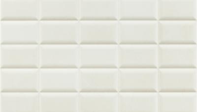 Плитка Pamesa Ceramica AT. BLAZE BLANCO RLV 33x55