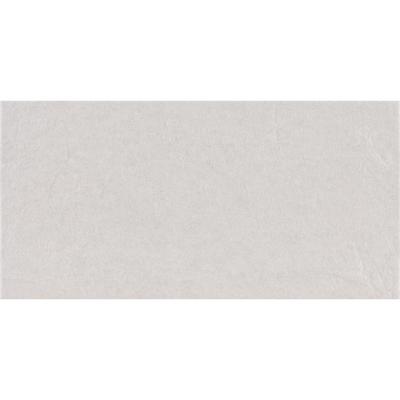 Плитка Pamesa Ceramica AT. EIFFEL BLANCO 30x61