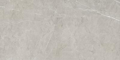 Плитка Pamesa Ceramica Natural Sense Плитка 60*120 Natural Sense Gris 6x12