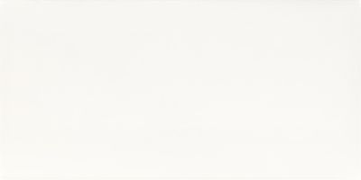 Плитка Paradyz Adilio Bianco 29,5x59,5