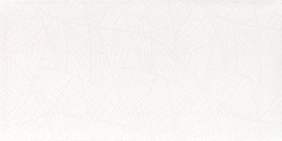 Плитка Paradyz Adilio Bianco Fun 29,5x59,5