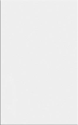 Плитка Paradyz Neve Bianco Polished 25х40