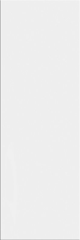 Плитка Paradyz Neve Bianco Polished 25х75