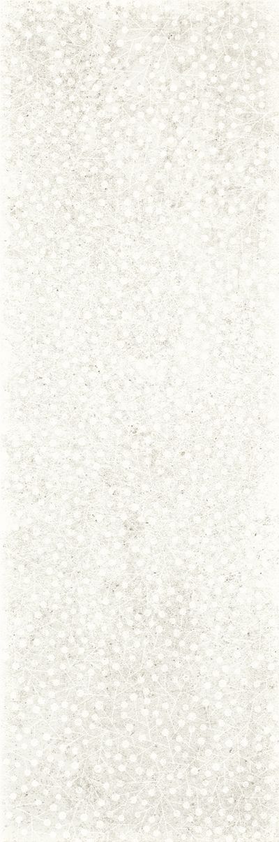 Плитка Paradyz Nirrad Bianco Kropki 20х60