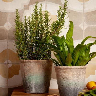 Плитка Керамогранит PERONDA FS FARFALLA MUSTARD/45X45X0,95 45x45