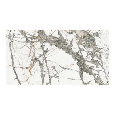 Плитка Raviraj Electronica POL 60x120