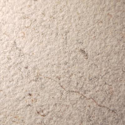 Плитка Керамограніт Porcelanosa Dorcia 100348054 DORCIA BONE L 80X80