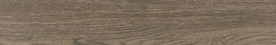 Плитка Prissmacer ESS. CAEN BROWN 20х120