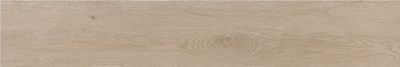 Плитка Prissmacer ESS. TREE HAYA 20х120