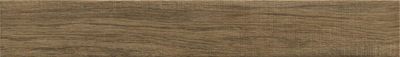 Плитка Ragno WOODGLAM NOCE R06R