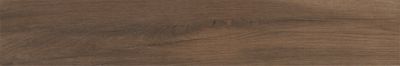 Плитка Ragno WOODPLACE CAFFE R49A