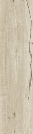 Плитка Ragno WOODTALE BETULLA RETT R4TS 30х120