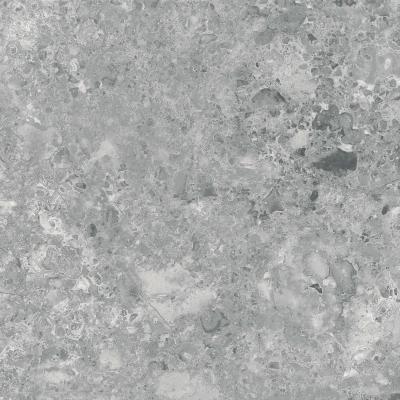 Плитка Rako Atacama 60x60 DAK62121