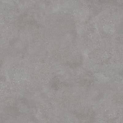 Плитка RAKO Betonico DAK92791 120x120