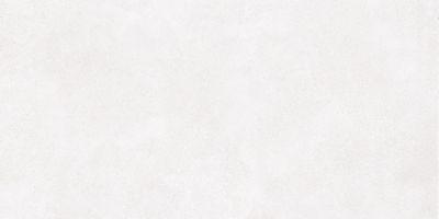 Плитка RAKO BETONICO white-grey DAKV1790 60x120