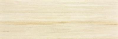 Плитка RAKO Charme WADVE034 20x60