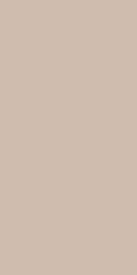 Плитка RAKO Color Two GAAD8108 10x20