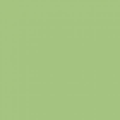 Плитка RAKO COLOR TWO l.green matt GAA1K465 20x20