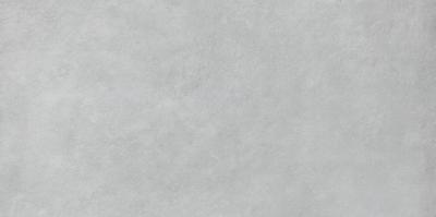 Плитка RAKO EXTRA light grey DAR84723 40x80