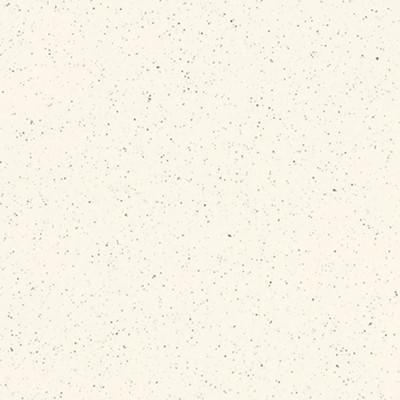 Плитка RAKO GRANIT 60 SL alaska TAL61060 60x60