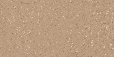 Плитка RAKO PORFIDO ochre DASV1814 60x120
