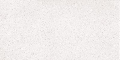 Плитка RAKO PORFIDO white DASV1810 60x120