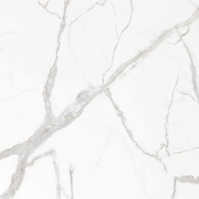 Плитка Raviraj ALBEDO STATUARIO 60x60 polished
