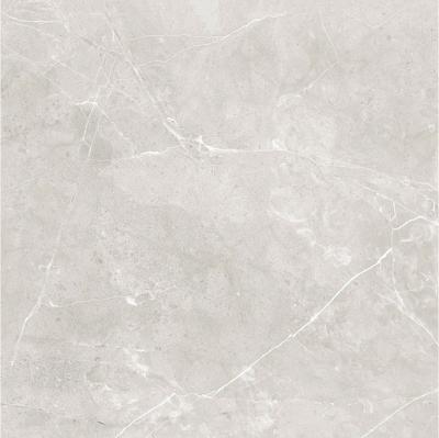 Плитка Raviraj Sanaa GREY 60x60 polished
